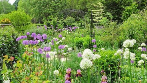 <Web割対象商品>【キングツアーバス旅】【WEB】本格英国庭園で過ごす一日 蓼科高原バラクライングリッシュガーデン英国園芸の祭典「34th蓼科バラクラフラワーショー」〔新宿・調布発〕3